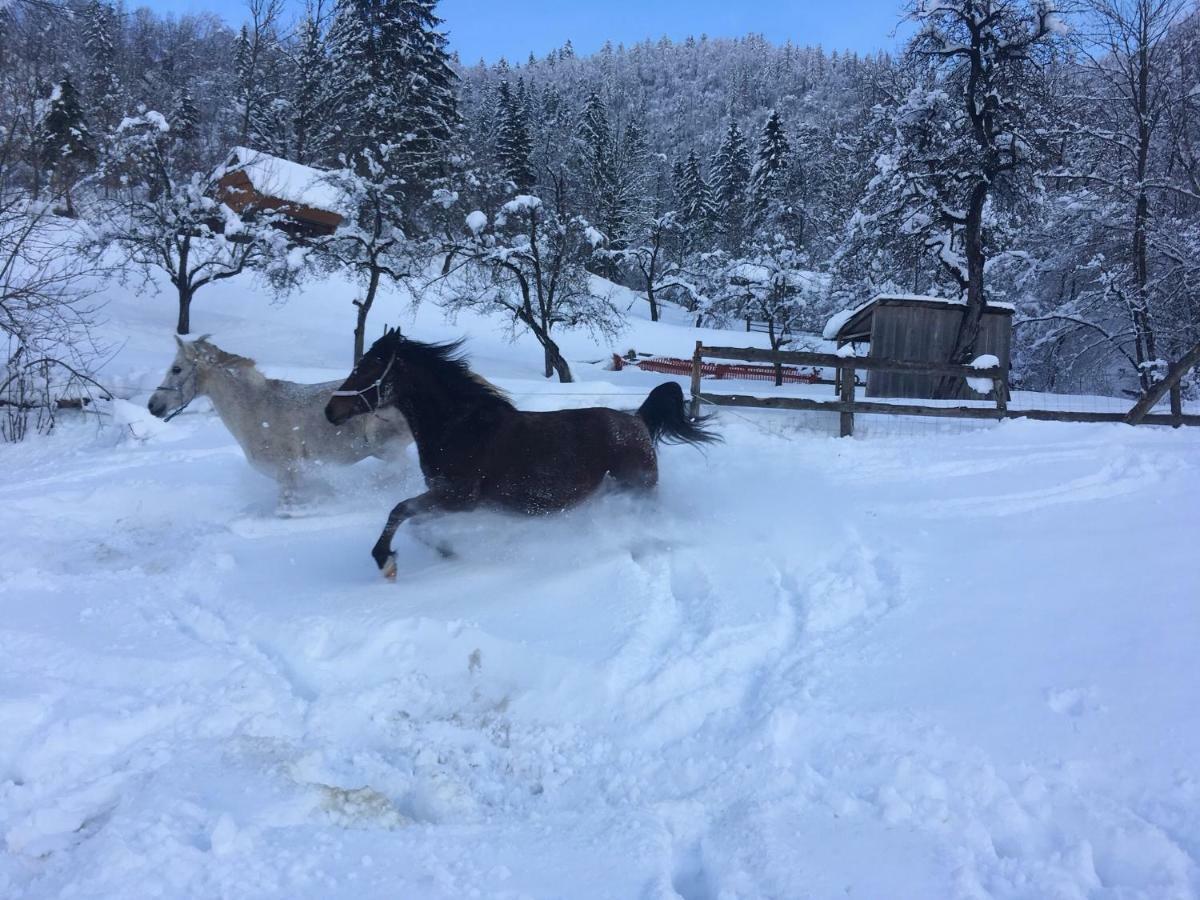 Appartement En drgačen ranč Boutique Ranch Bohinj Extérieur photo